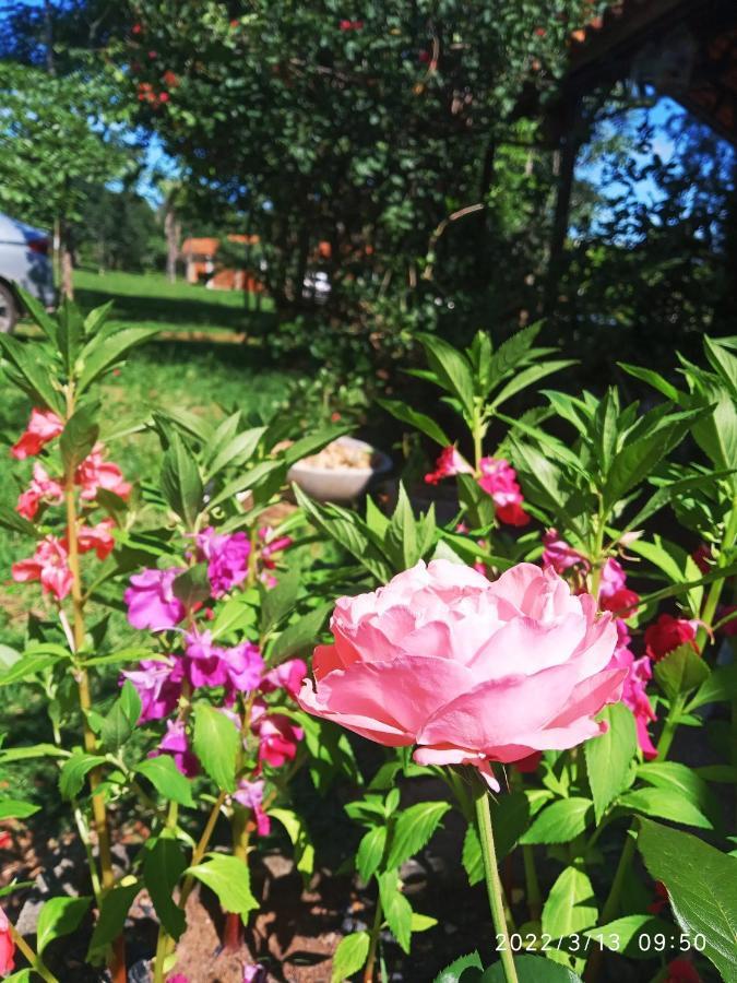 Pousada Carmel Garden Піренополіс Екстер'єр фото